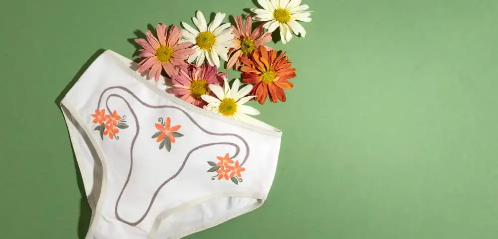 culotte menstruelle